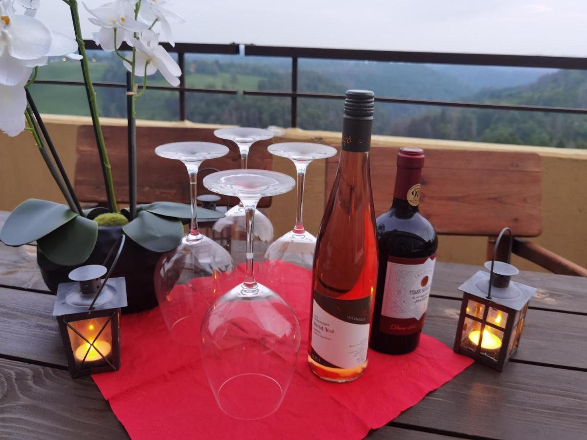 Апартаменты Penthouse Harz-Traum 372 Хоегайс Экстерьер фото