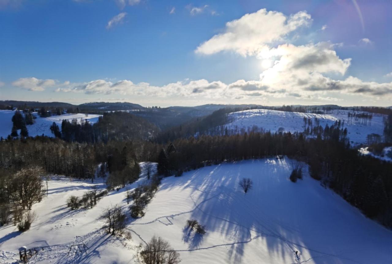 Апартаменты Penthouse Harz-Traum 372 Хоегайс Экстерьер фото